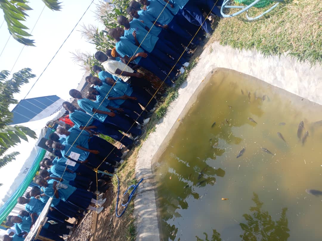 Practical and technical skills education